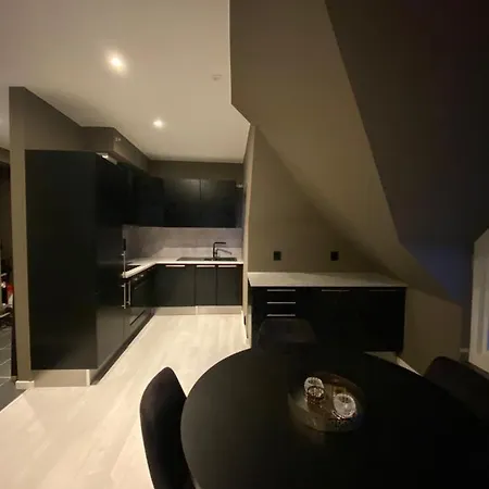 Penthouse With Private Balcony In The City Centre Of *