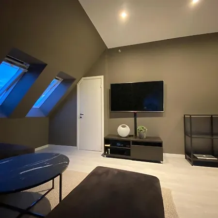 Apartment Penthouse With Private Balcony In The City Centre Of *